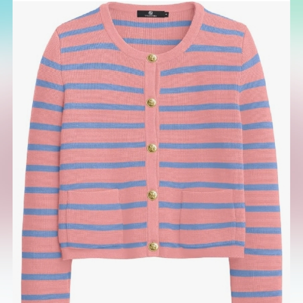 NWT pink + blue stripe button down sweater inspired chic crew viscose